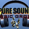 Pure Sound Music Group 3D Logo
